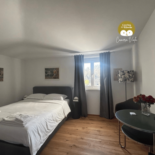 bedviola1
