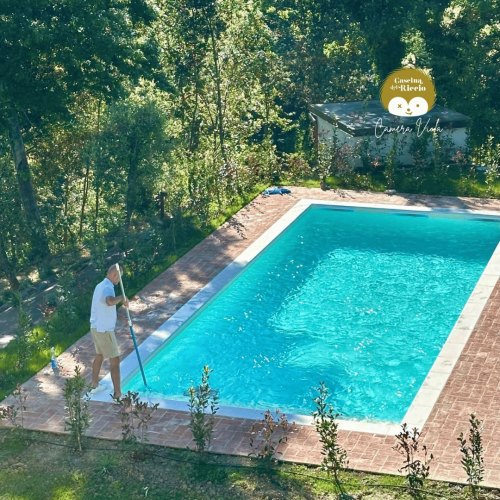 poolviola1